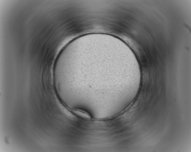 X0000097511238200803142034