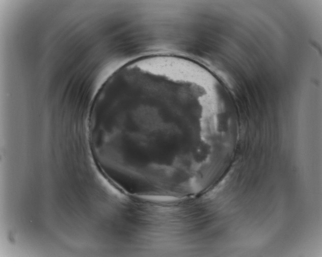 X0000097511239200803142034