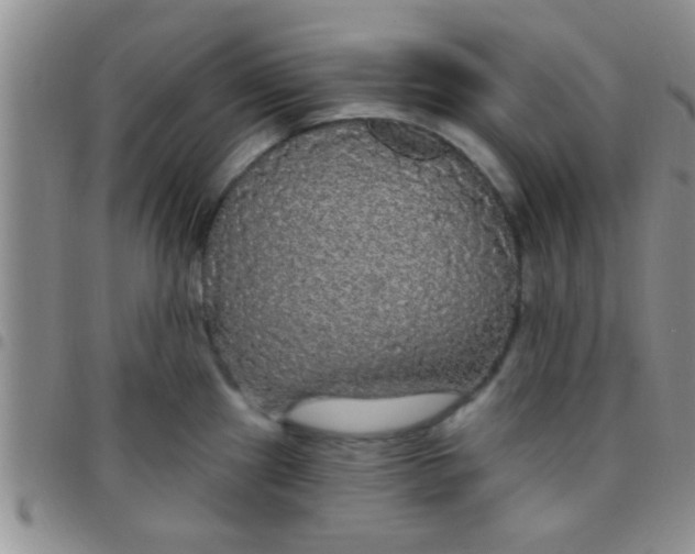 X0000097511241200803142034