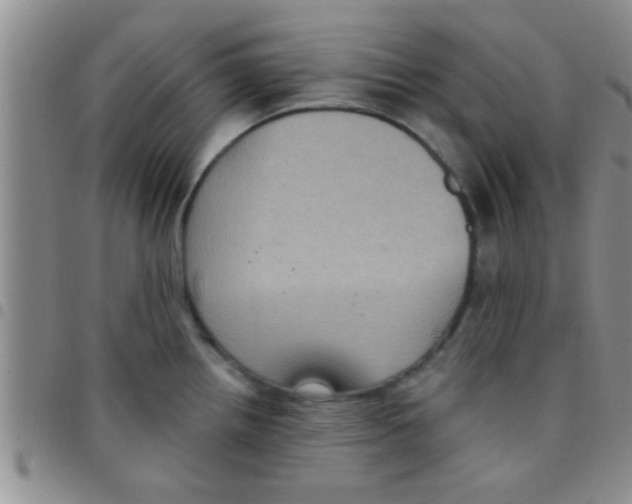 X0000097511242200803142034