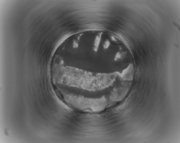 X0000097511243200803142034