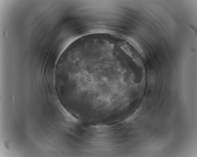 X0000097511244200803142034