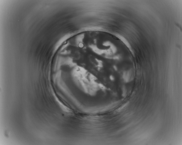 X0000097511245200803142034