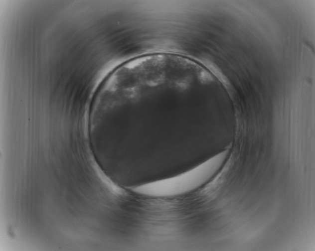 X0000097511246200803142034