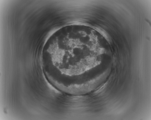 X0000097511247200803142034