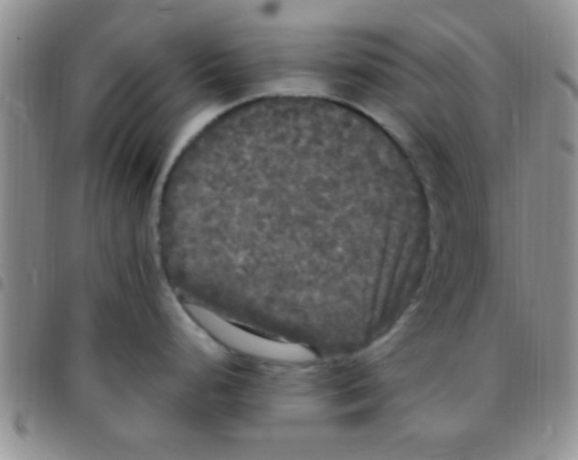 X0000097511248200803142034