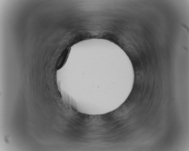 X0000097511249200803142033