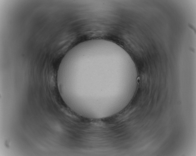 X0000097511250200803142033