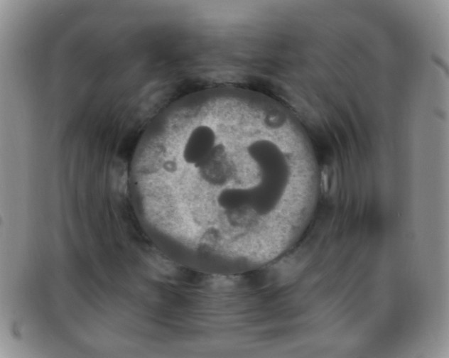 X0000097511251200803142033