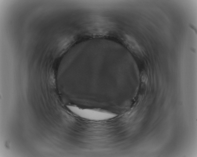 X0000097511252200803142033