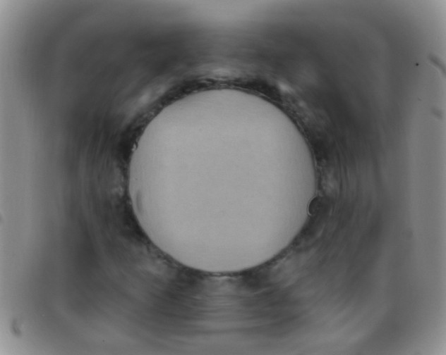 X0000097511253200803142033