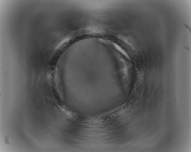 X0000097511254200803142033