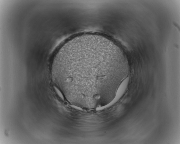 X0000097511256200803142033