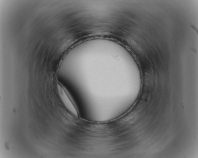 X0000097511257200803142033