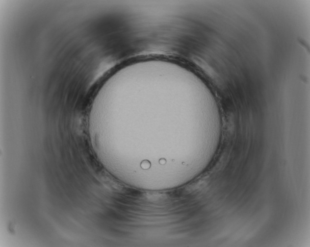 X0000097511258200803142033