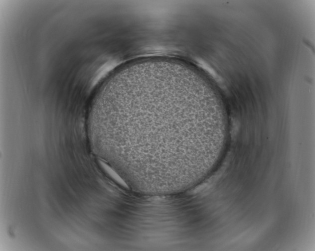 X0000097511259200803142033