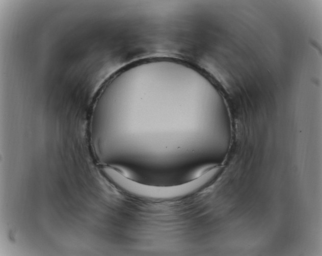 X0000097511260200803142033