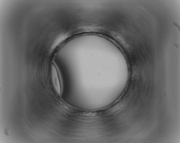 X0000097511261200803142033