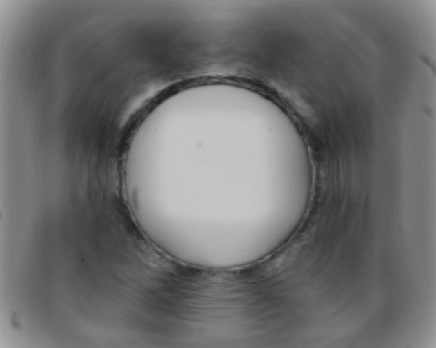 X0000097511262200803142033