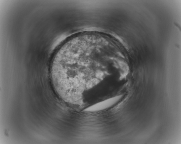 X0000097511263200803142033