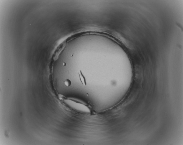 X0000097511264200803142033