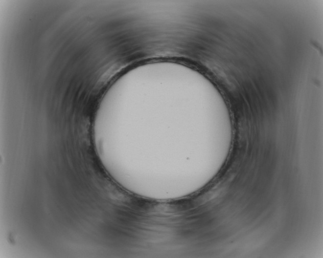 X0000097511265200803142033