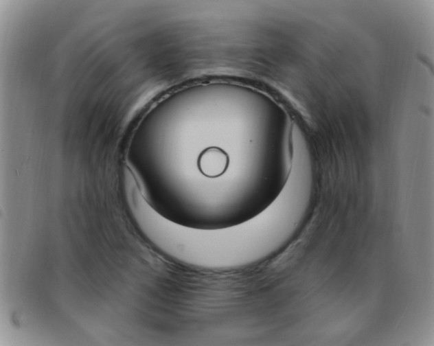 X0000097511266200803142033