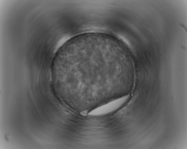 X0000097511267200803142033