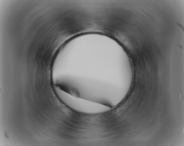 X0000097511268200803142033