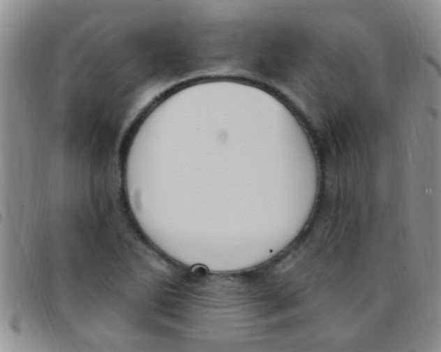 X0000097511270200803142033