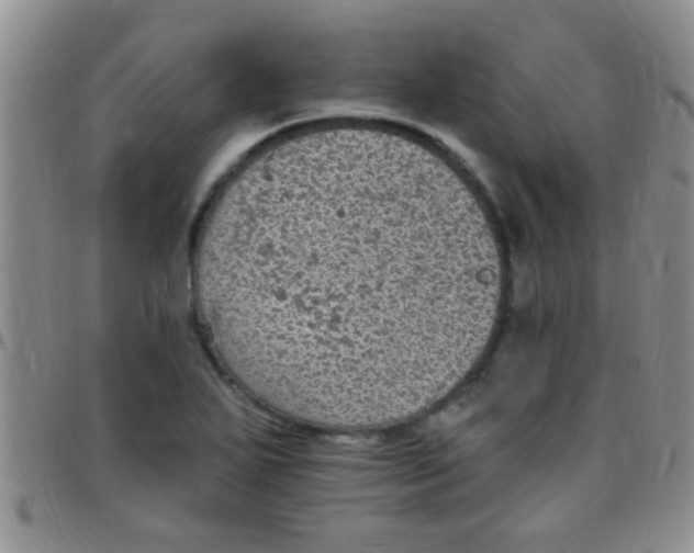 X0000097511271200803142033