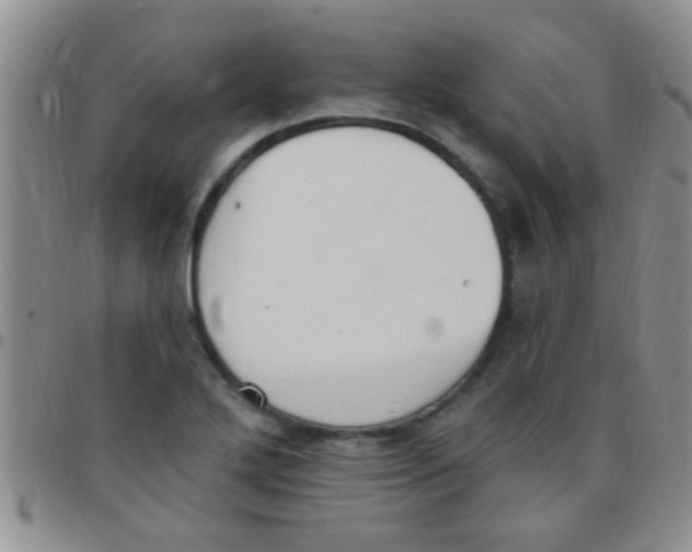 X0000097511272200803142033