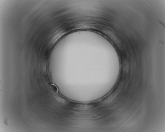 X0000097511273200803142033