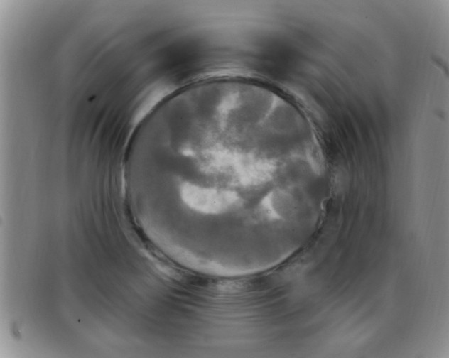 X0000097511274200803142033