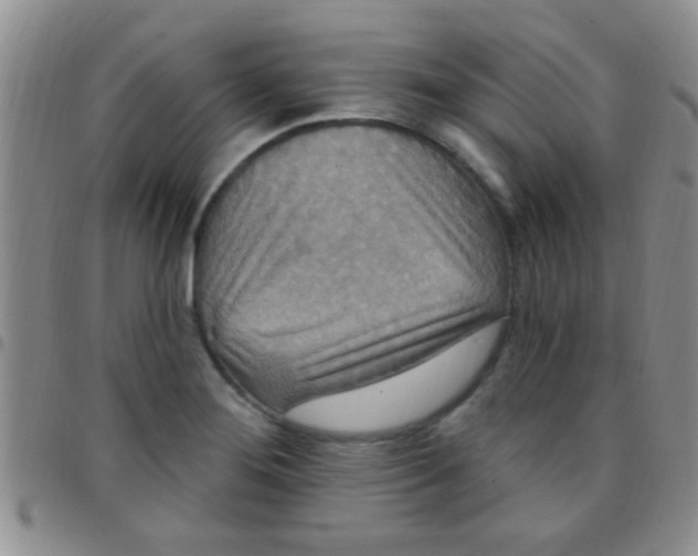 X0000097511276200803142033