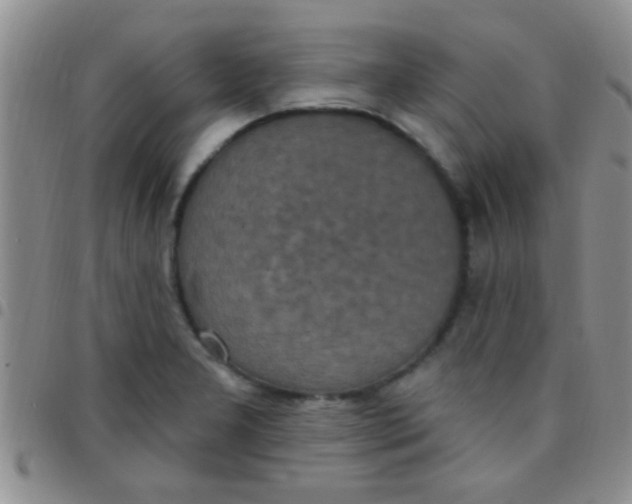 X0000097511277200803142033