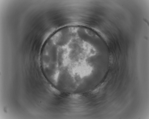 X0000097511278200803142033