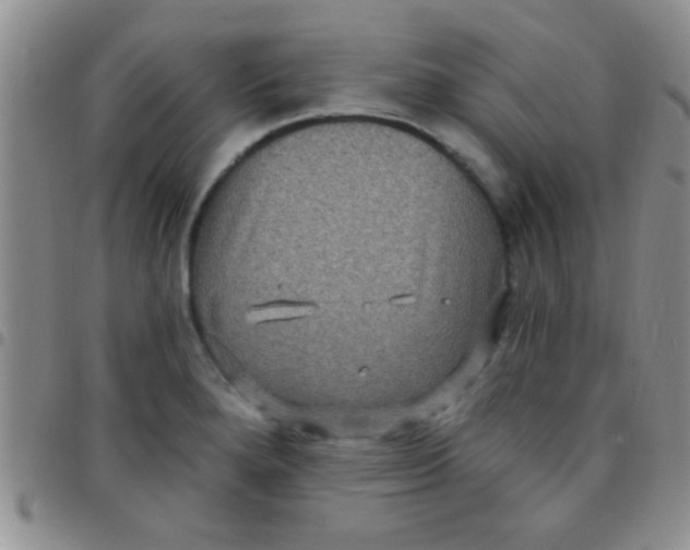 X0000097511280200803142033