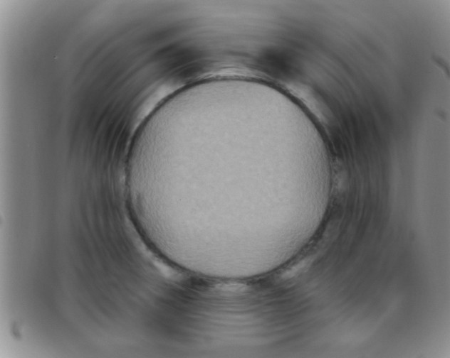 X0000097511282200803142033