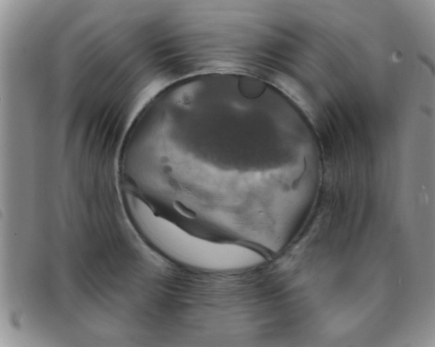 X0000097511283200803142033