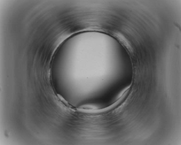 X0000097511284200803142033