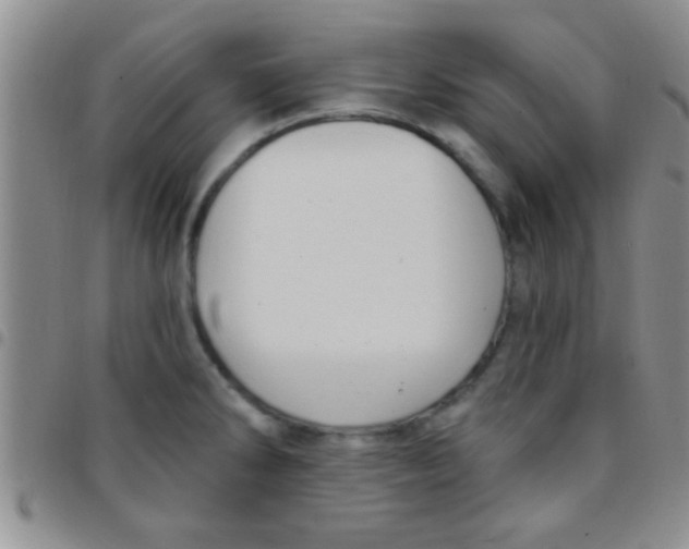 X0000097511286200803142033