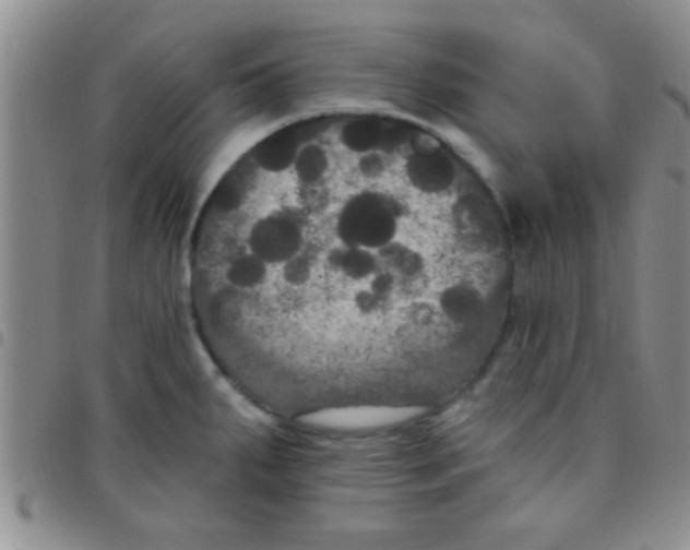 X0000097511287200803142033