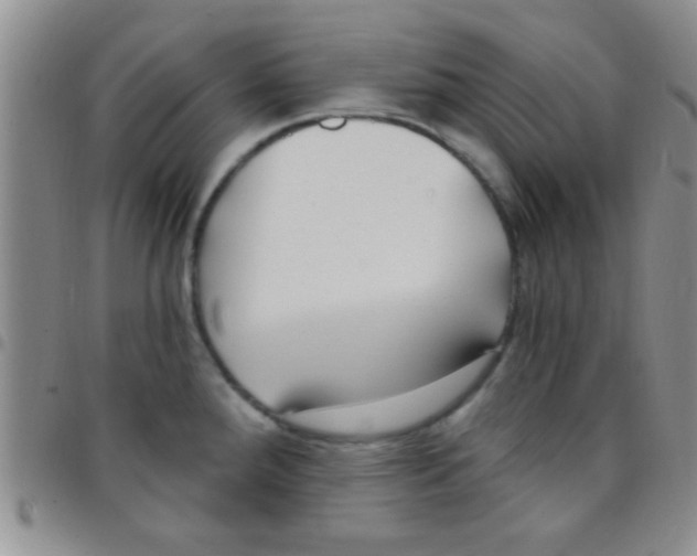 X0000097511288200803142033