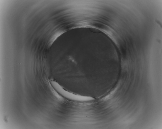 X0000097511289200803142033