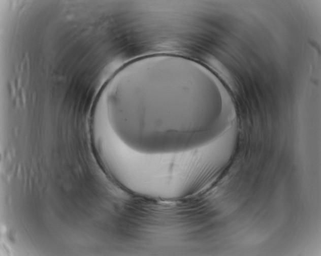 X0000097511291200803142033