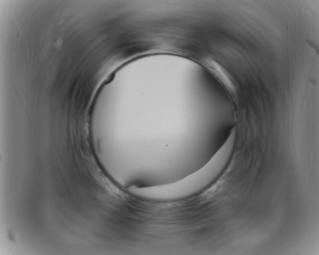 X0000097511292200803142033