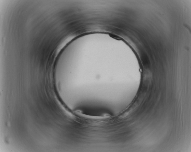 X0000097511293200803142033