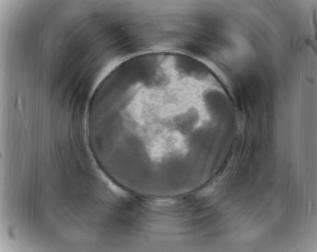 X0000097511294200803142033