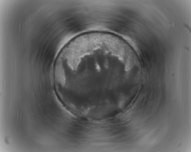 X0000097511295200803142033